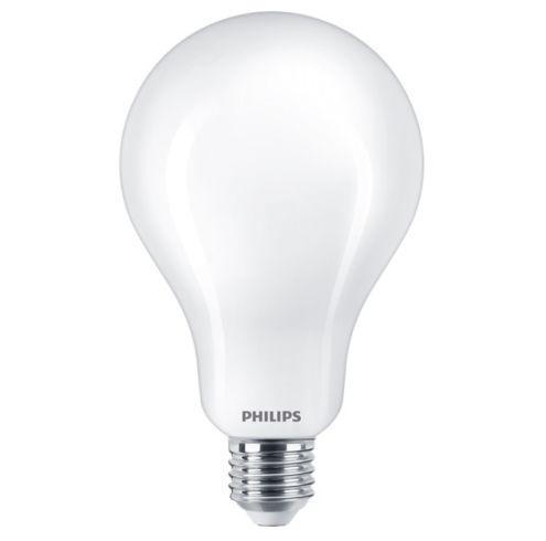 wetenschappelijk Ongelofelijk Achtervoegsel Philips LED lamp A95 E27 23W 6500K Niet dimbaar | SameLight.nl